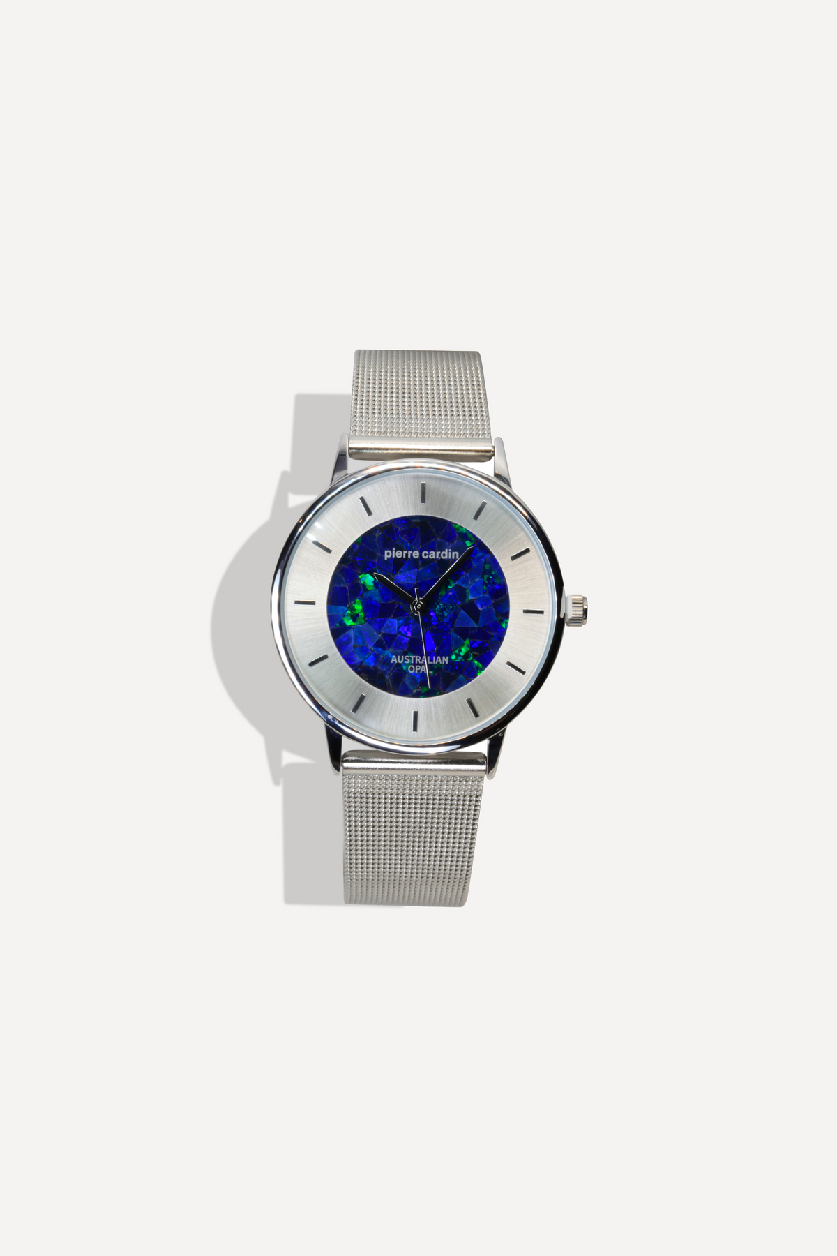 Bern Watch