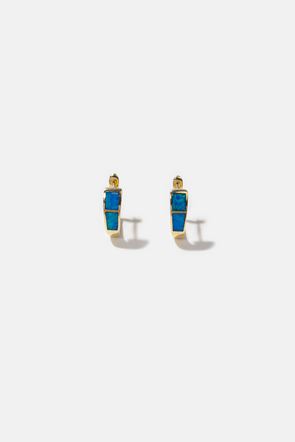 Ferdura Earrings