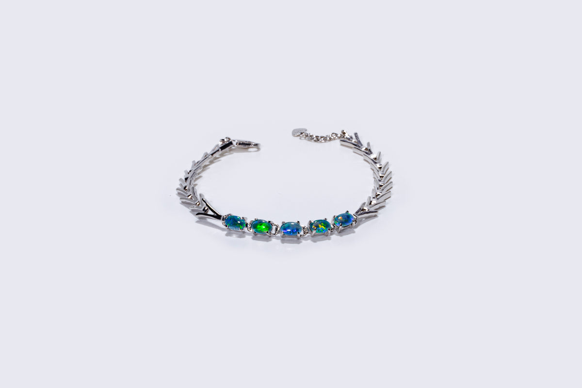 dmarchipelago-model-image