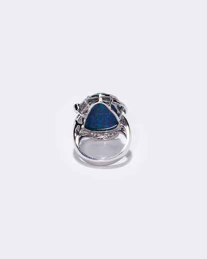 Scole ring