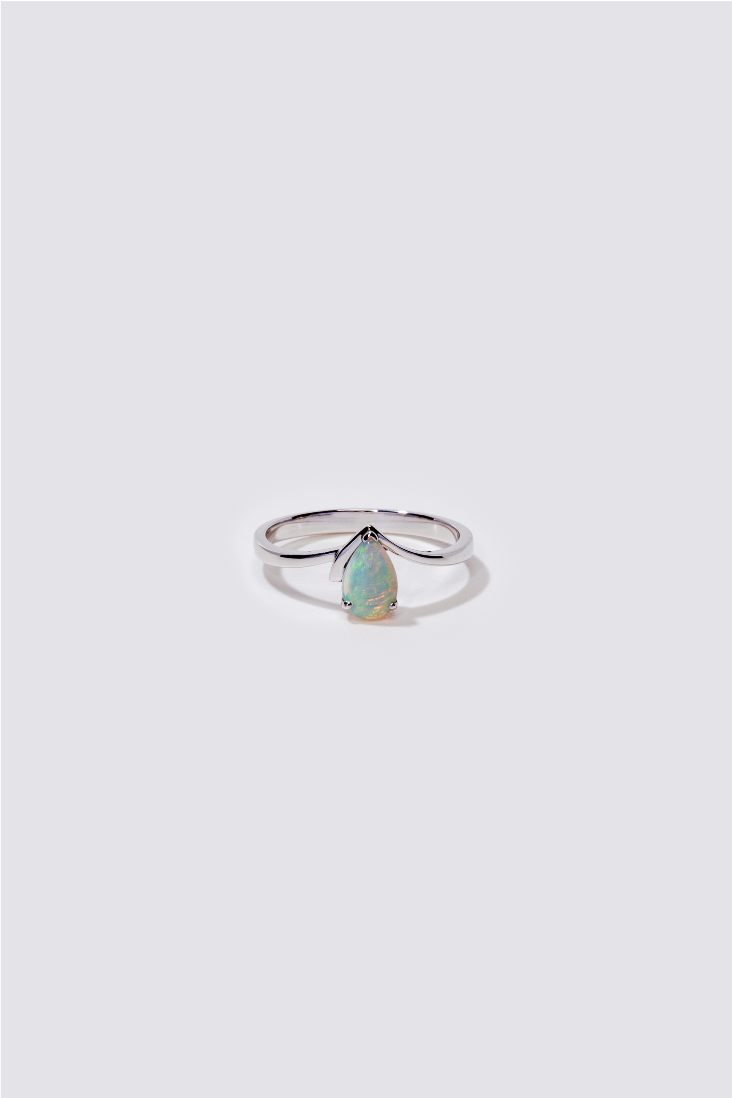 Tern ring