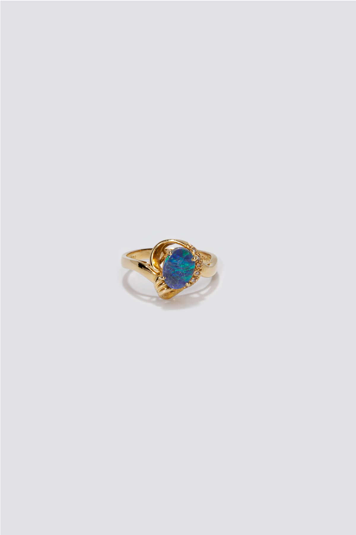 Sae ring