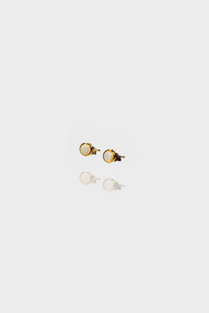 Tem Earrings