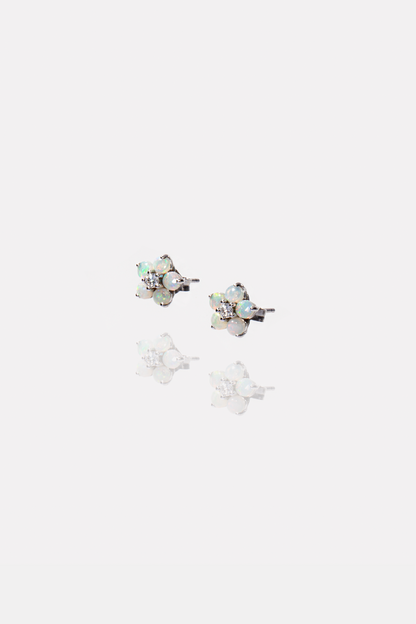 Eclar Earrings