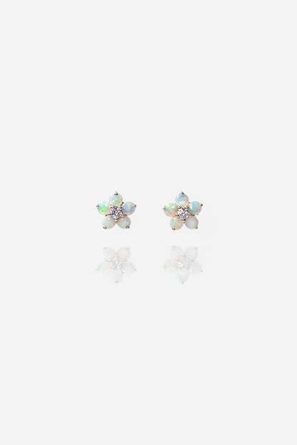 Eclar Earrings