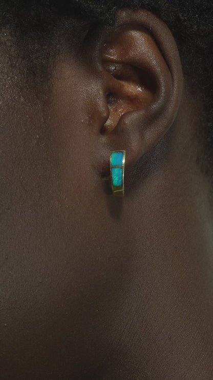Ferdura Earrings