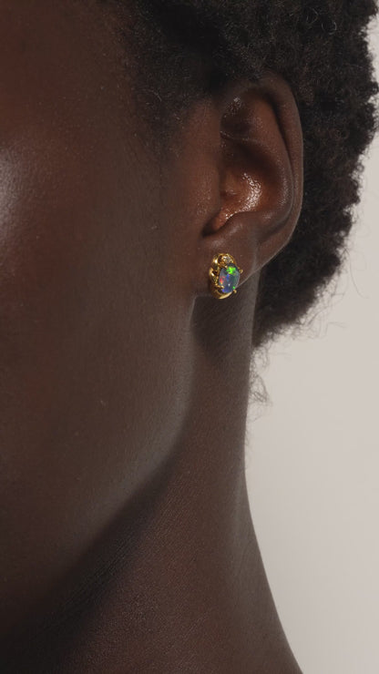Fenn Earrings